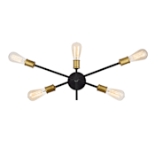 Elegant Lighting Axel 5 Light 10" Tall Wall Sconce Black / Brass